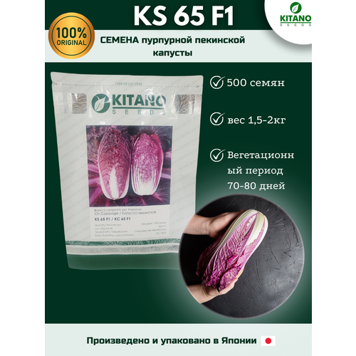  KS 65 F1-  , , 500 , Kitano seeds/  ()   -     , -,   