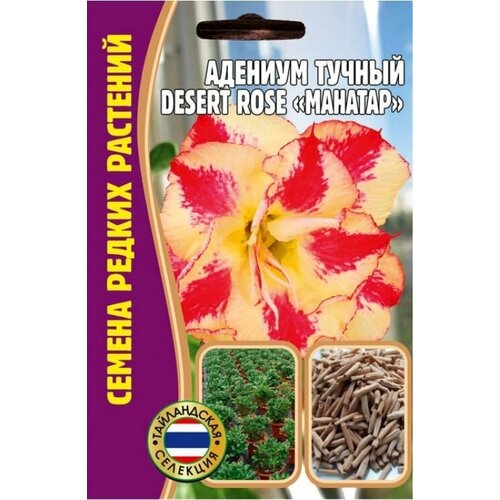    Desert rose MAHATAP (1  * 3 )     -     , -,   