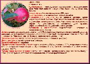 садовая яблоня сорта Либерти