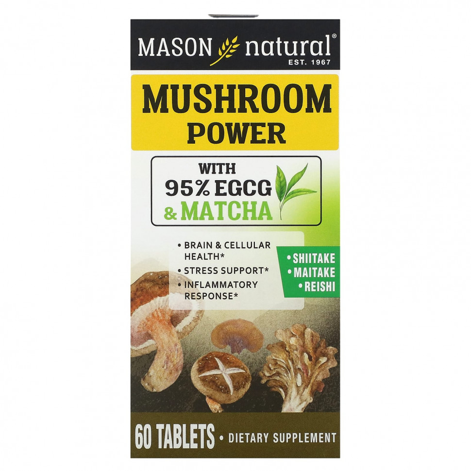 ������ ������ Mason Natural, Mushroom Power, 60 ��������  IHerb (������) ����