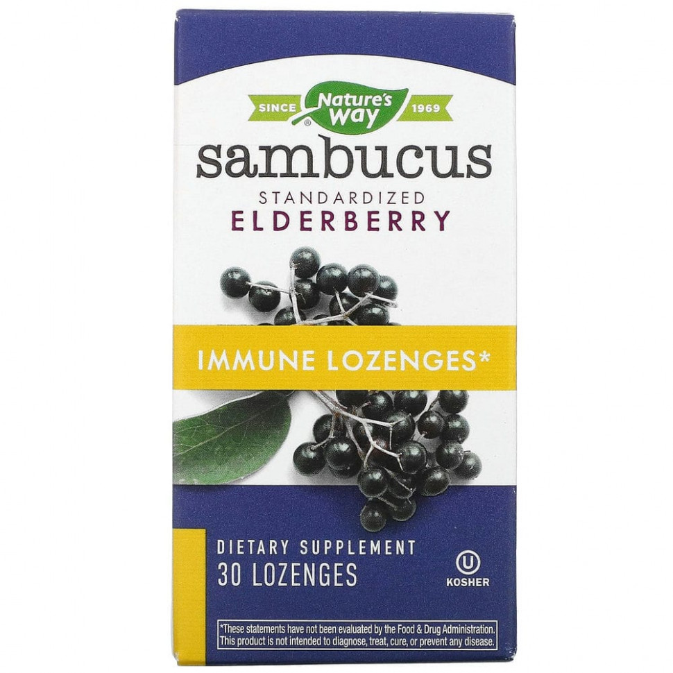 ������ ������ Nature's Way, Sambucus Immune, ������, ������������������� ��������, 30 ��������  IHerb (������) ����