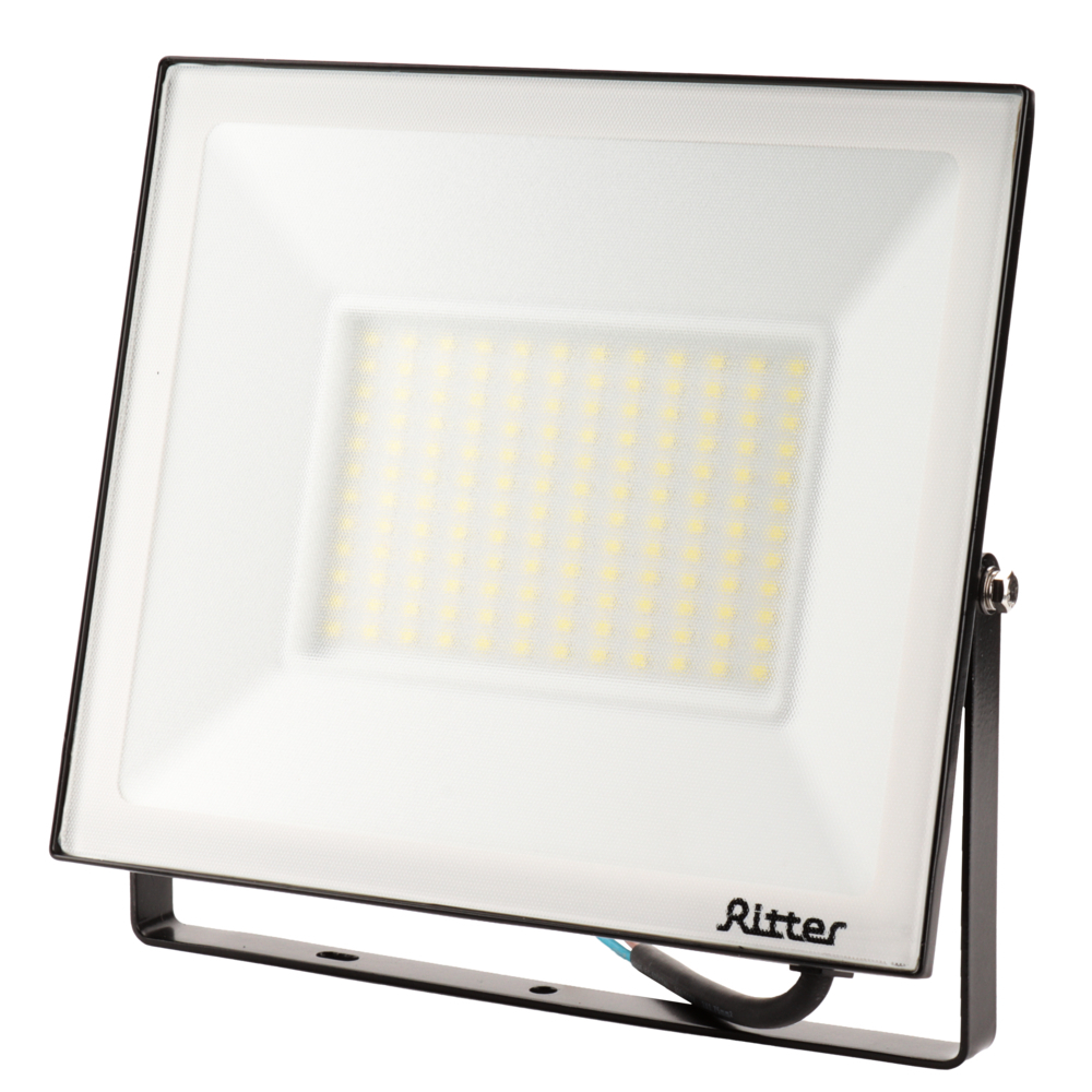 ������ ������ ��������� ������������ Ritter Profi 6500� 100 �� IP65 ������   ����