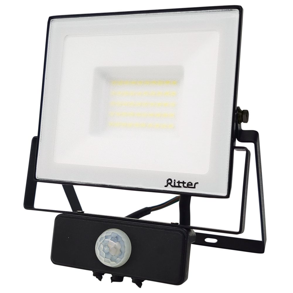 ������ ������ ��������� ������������ Ritter Profi 6500� 50 �� IP65 � �������� �������� ������   ����