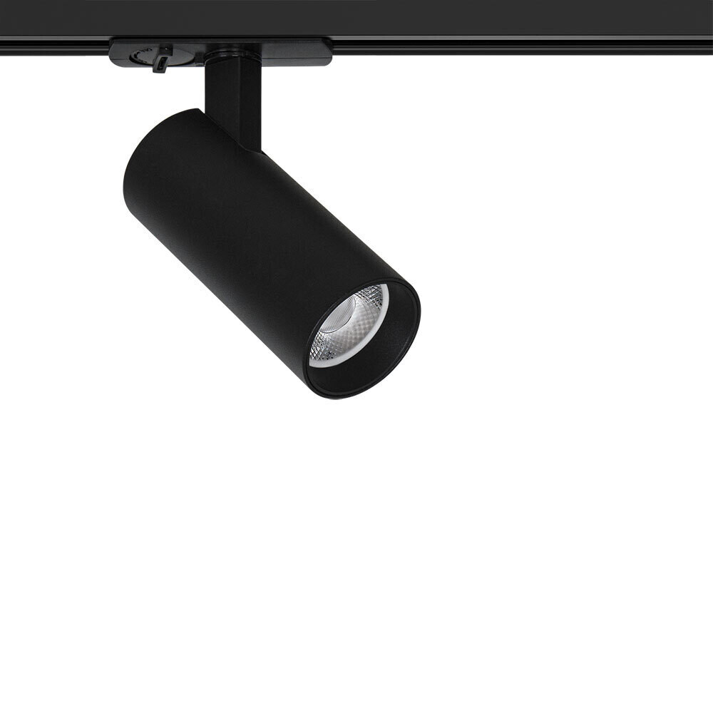 ������ ������ ������������ �������� ���������� ���������� Arte Lamp Bene 3000� 10 �� ������ (A1935PL-1BK)   ����
