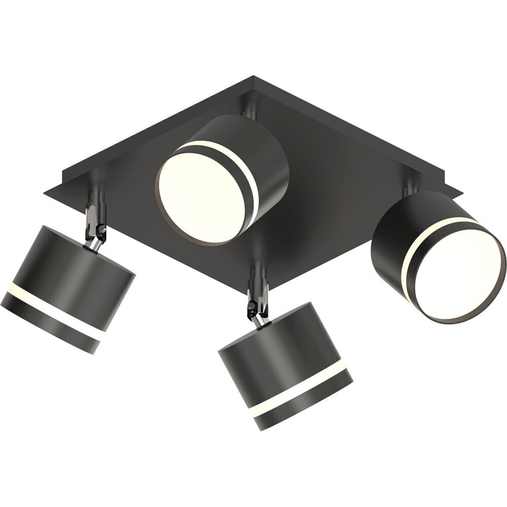 ������ ������ ���� ���������� Schaffner Montar GX53 30 �� 8 ��.� ������ IP20 (4745-4 BK)   ����