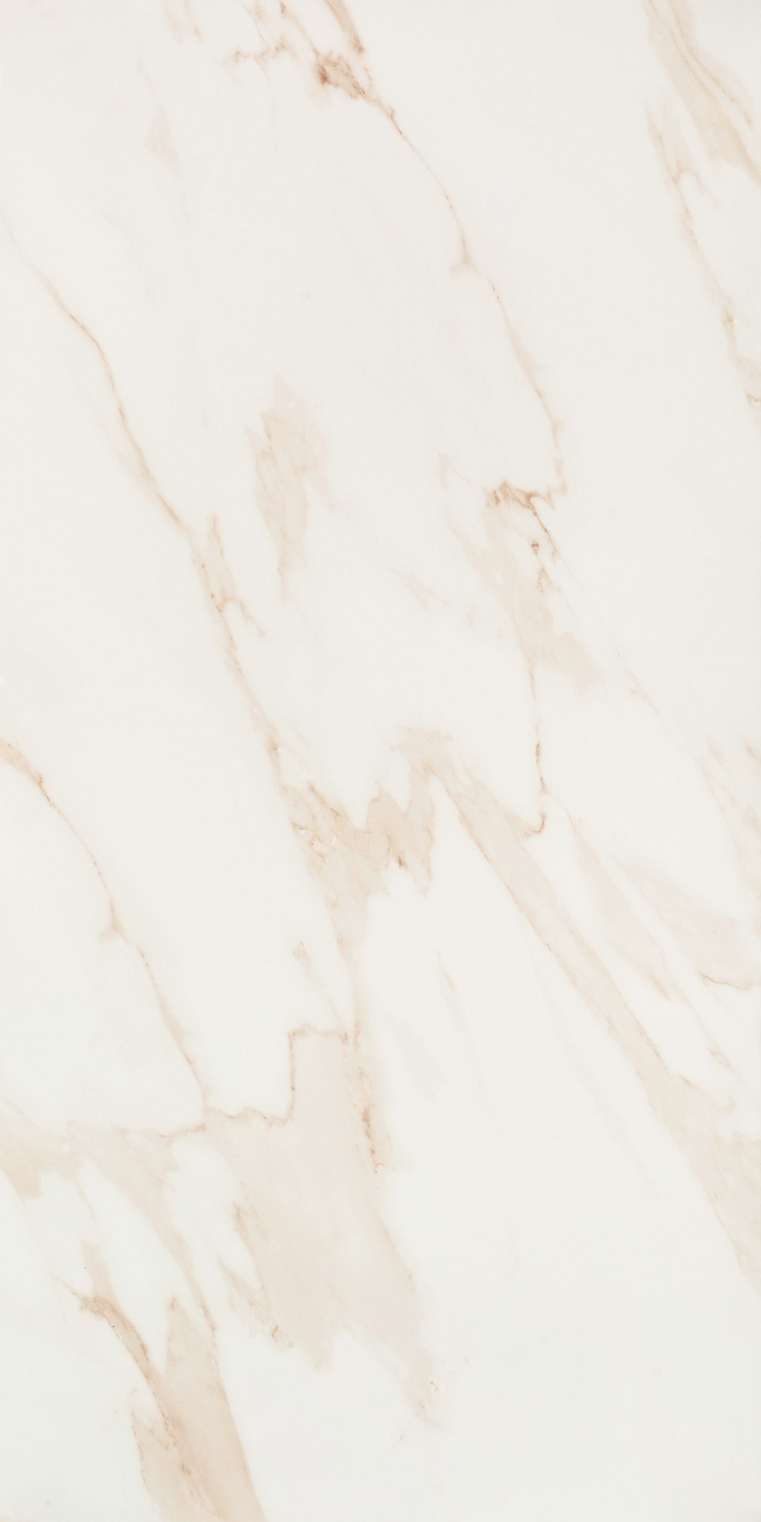 ������ ������ ������������ Lavelly Calacatta Imperia ����� ������������ 1200x600x8,5 �� (2 ��.=1,44 ��.�)   ����