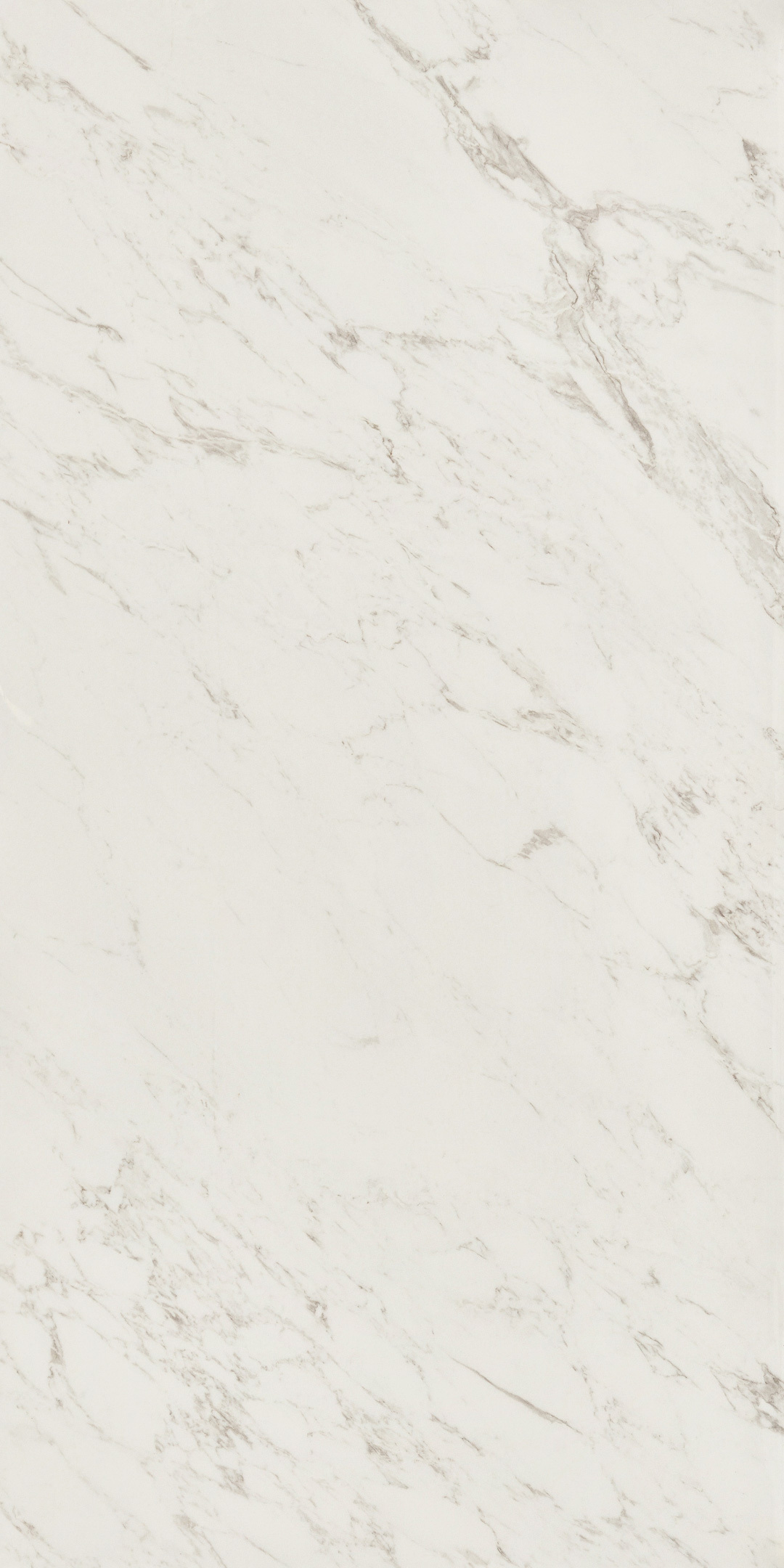 ������ ������ ������������ Lavelly Statuario Savona ����� ������������ 1200x600x8,5 �� (2 ��.=1,44 ��.�)   ����