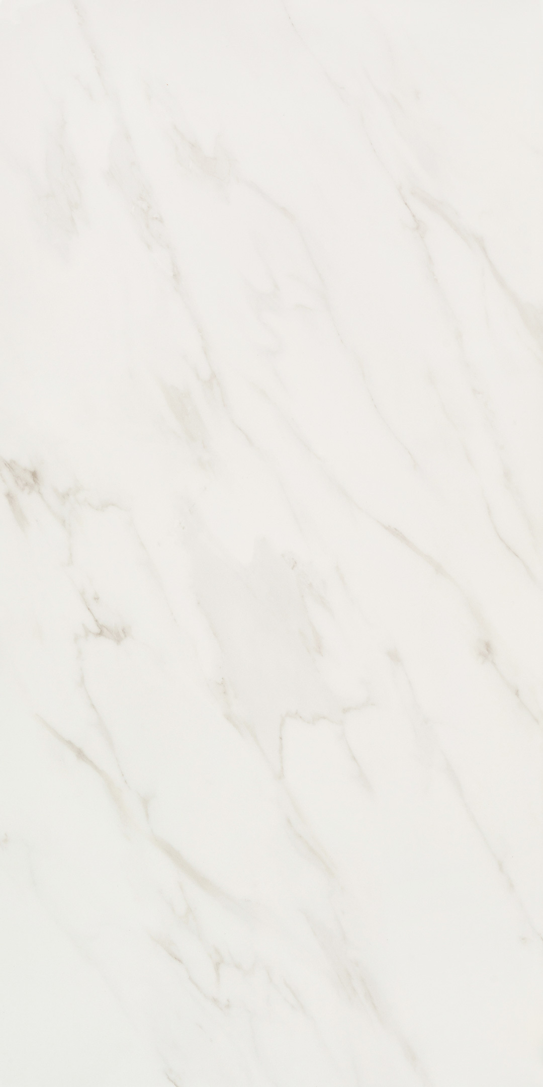 ������ ������ ������������ Lavelly Statuario Ligure ����� ������������ 1200x600x8,5 �� (2 ��.=1,44 ��.�)   ����