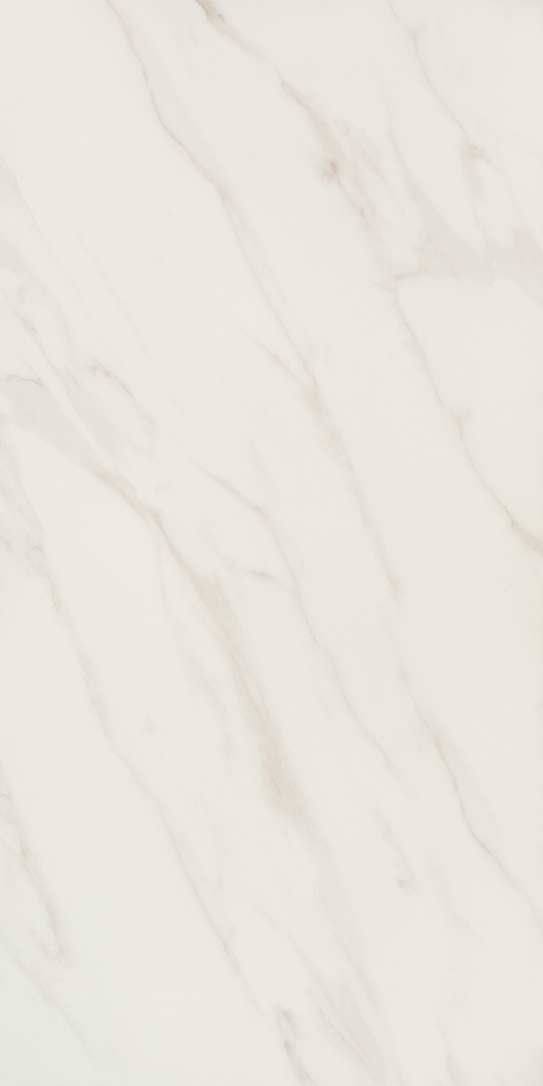 ������ ������ ������������ Lavelly Statuario Ligure ����� ������� 1200x600x8,5 �� (2 ��.=1,44 ��.�)   ����