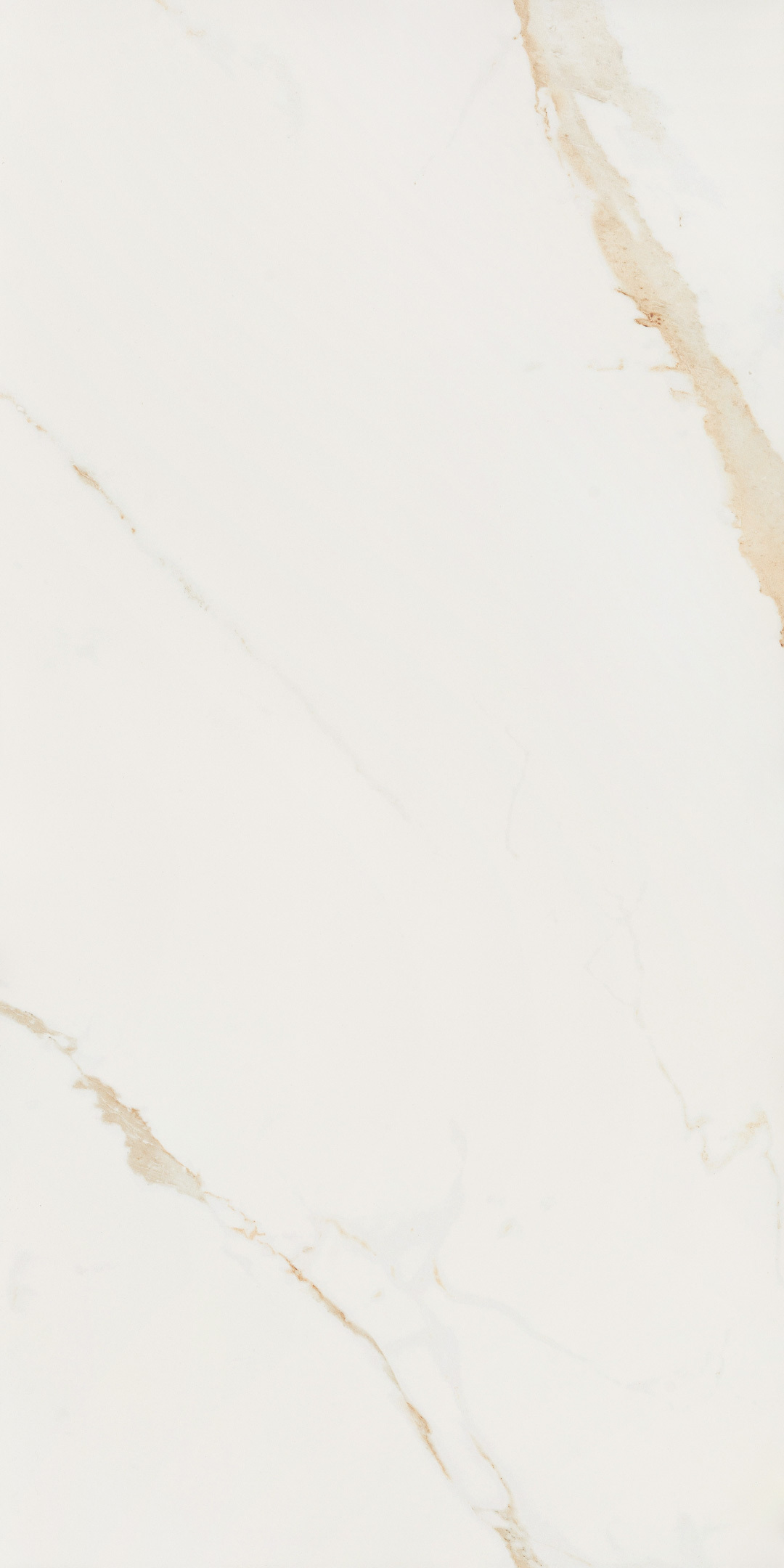 ������ ������ ������������ Lavelly Calacatta Toscana ����� ������� 1200x600x8,5 �� (2 ��.=1,44 ��.�)   ����