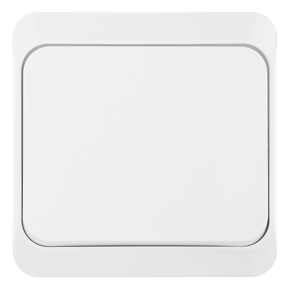 ������ ������ ������������� Systeme Electric ���� ������������� ��������� ����� (BA10-004B)   ����