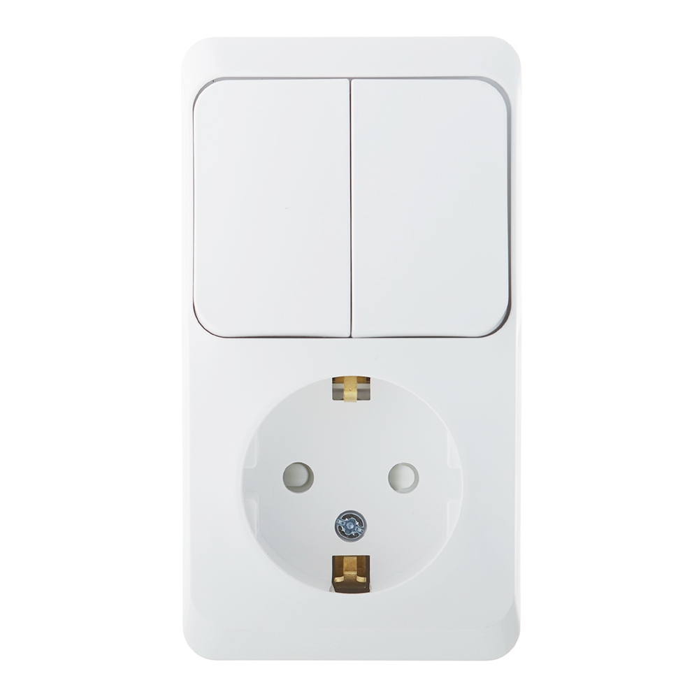 ������ ������ ���� ����������� � ������� Systeme Electric ���� ������������� ��������� ����� (BPA16-202B)   ����