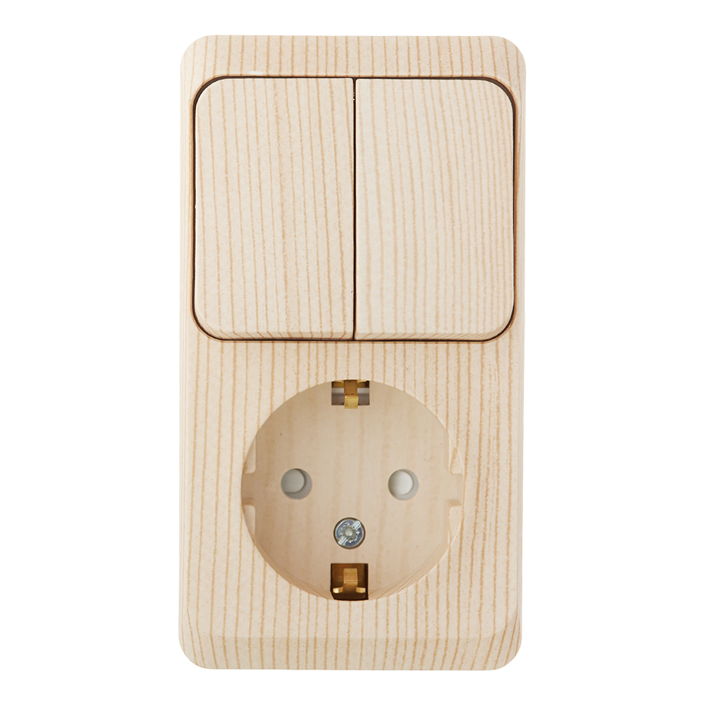 ������ ������ ���� ����������� � ������� Systeme Electric ���� ������������� ��������� ����� (BPA16-202D)   ����