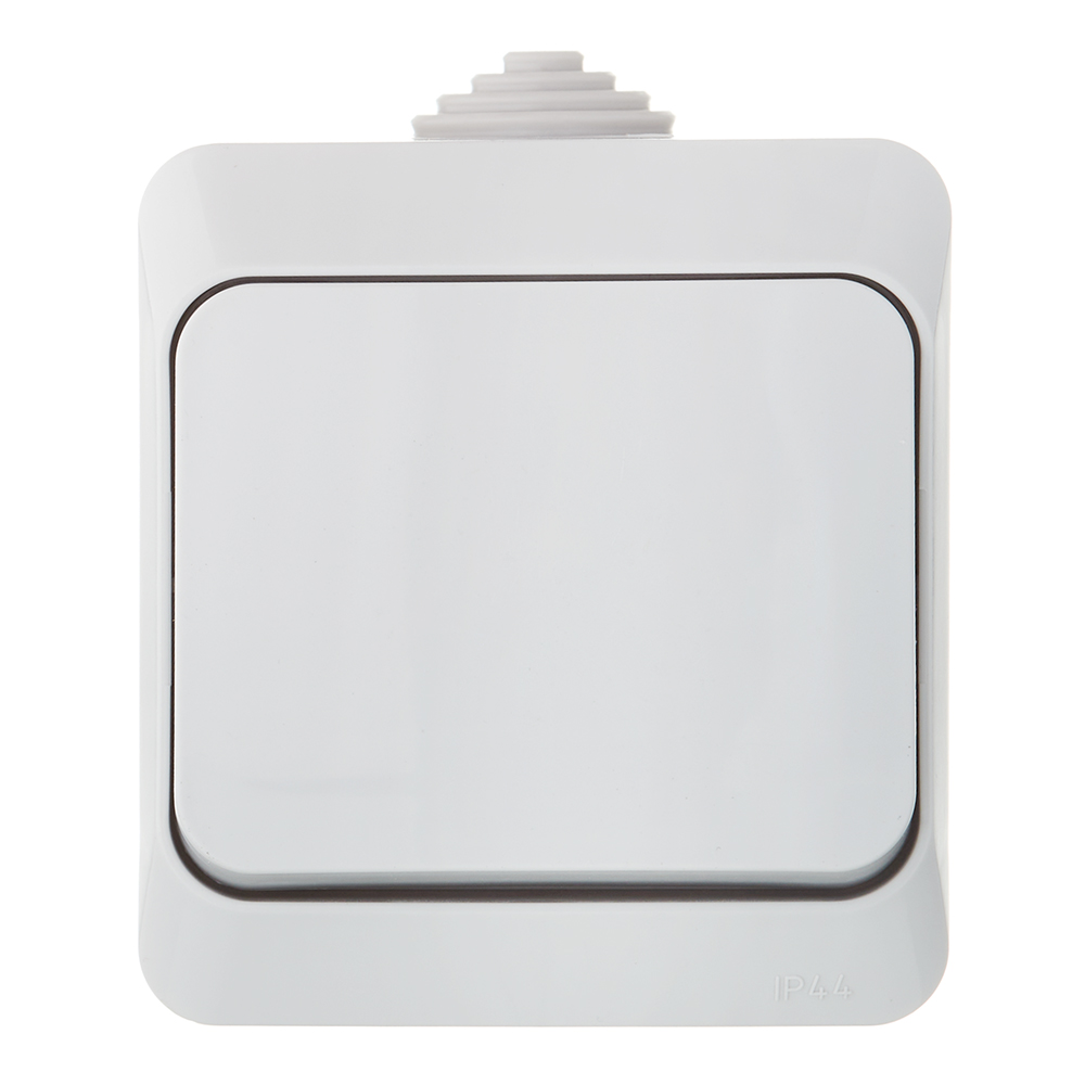 ������ ������ ����������� Systeme Electric ���� ������������� ��������� ����� (BA10-041C)   ����