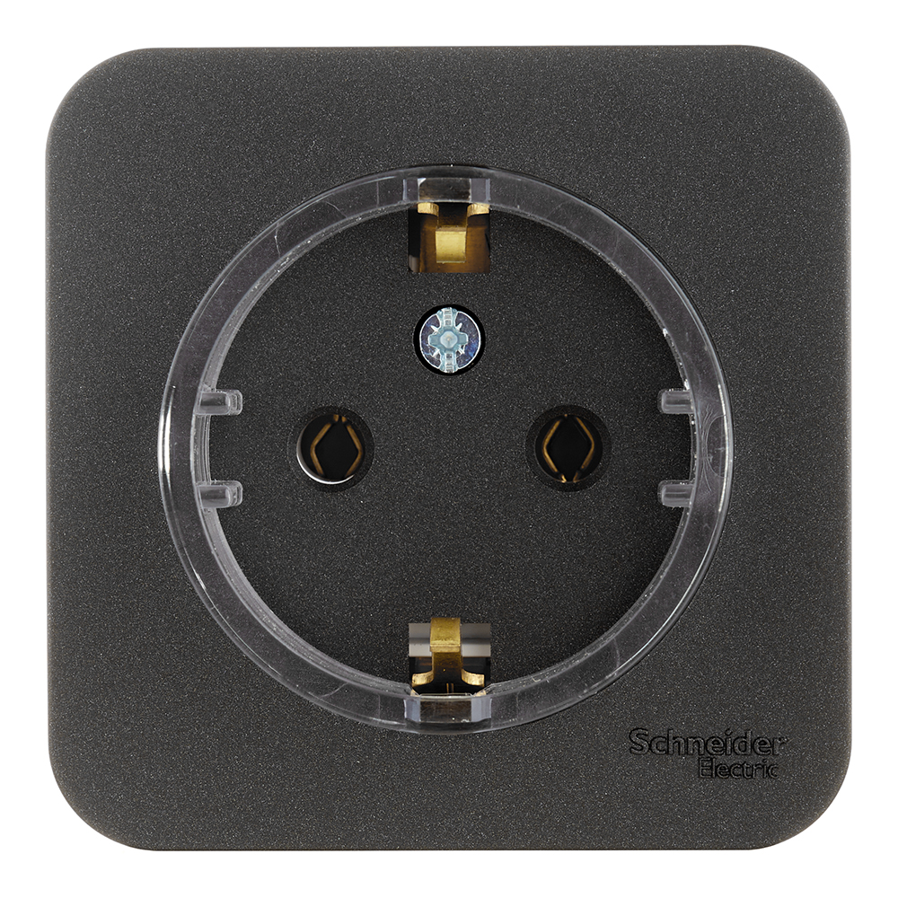 ������ ������ ������� Systeme Electric Blanca ��������� �������� ������� (BLNRA110116)   ����