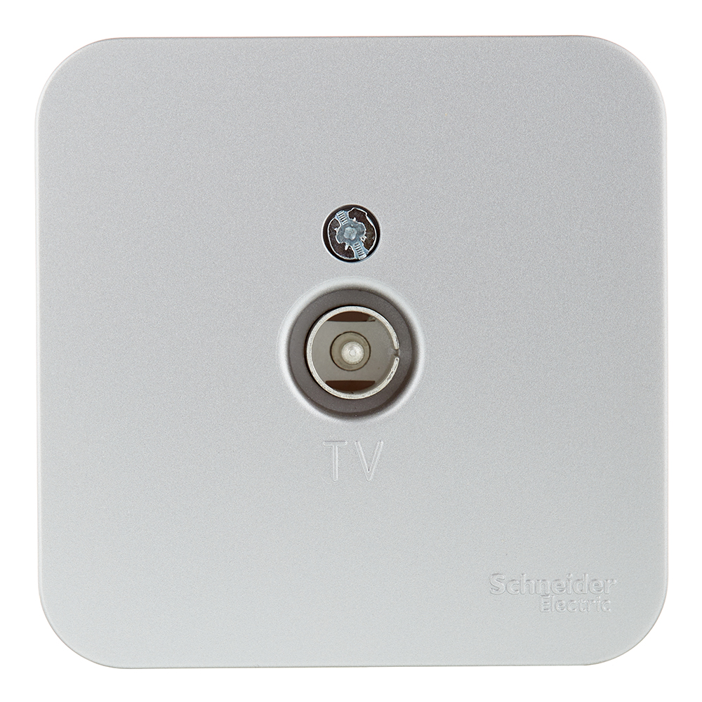 ������ ������ ������� ������������� Systeme Electric Blanca ��������� �������� (BLNTA000013)   ����