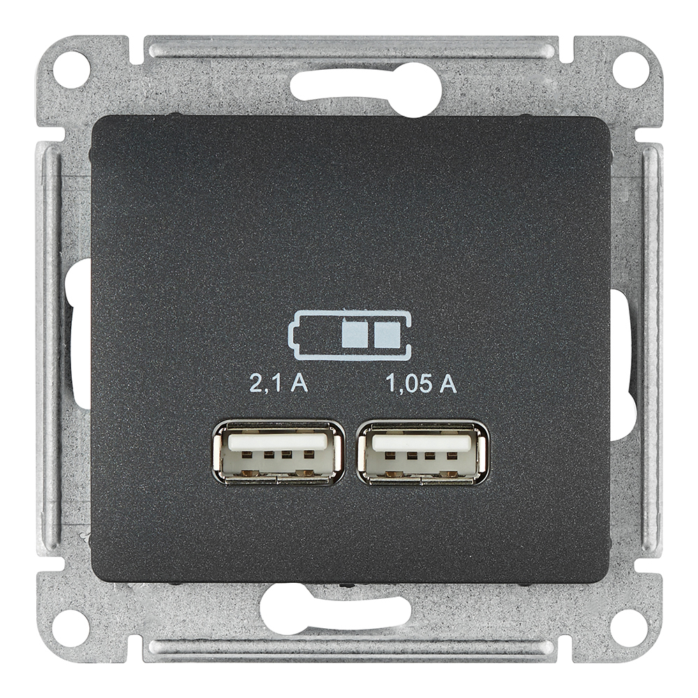 ������ ������ ������� USB Systeme Electric Glossa ������������ �������� 2�USB-A (GSL000733)   ����