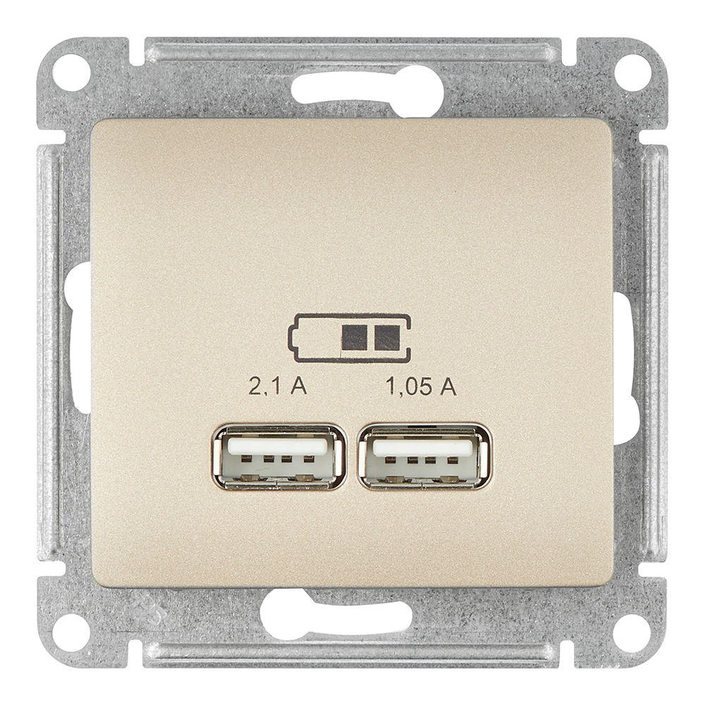 ������ ������ ������� USB Systeme Electric Glossa ������������ ����� 2�USB-A (GSL000433)   ����