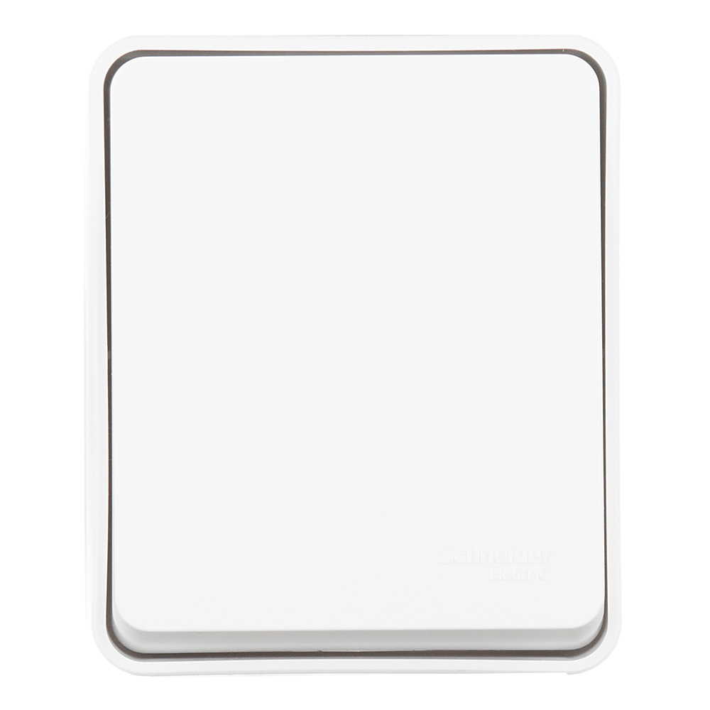 ������ ������ ����������� Systeme Electric AtlasDesign Profi54 ������������� ��������� ����� (ATN540111)   ����