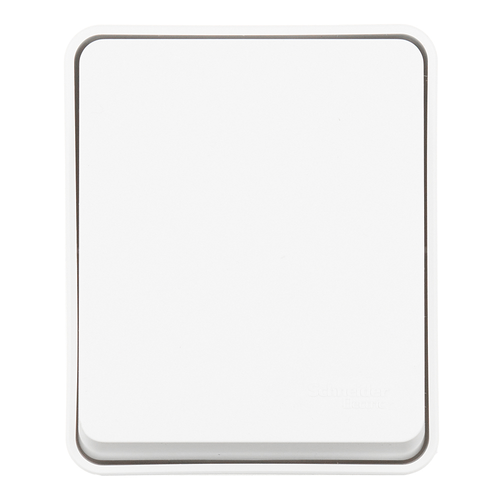 ������ ������ ������������� Systeme Electric AtlasDesign Profi54 ������������� ��������� ����� (ATN540161)   ����