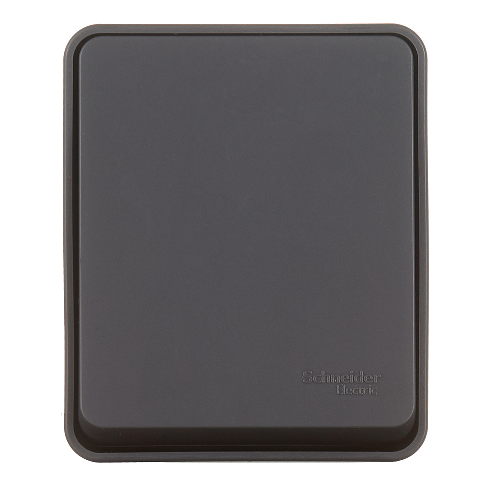 ������ ������ ������������� Systeme Electric AtlasDesign Profi54 ������������� ��������� �������� (ATN544061)   ����