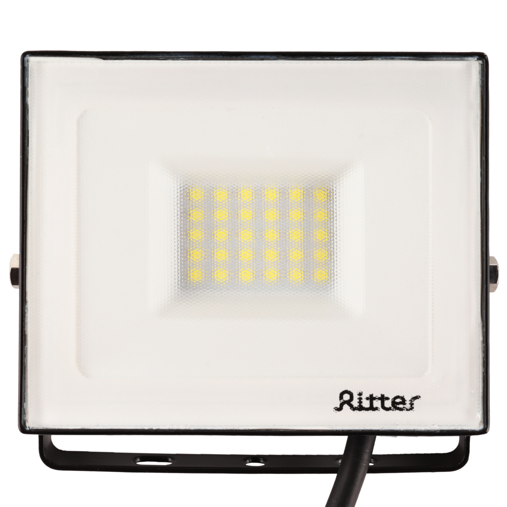 ������ ������ ��������� ������������ Ritter Profi 6500K 30 �� IP65 ������   ����