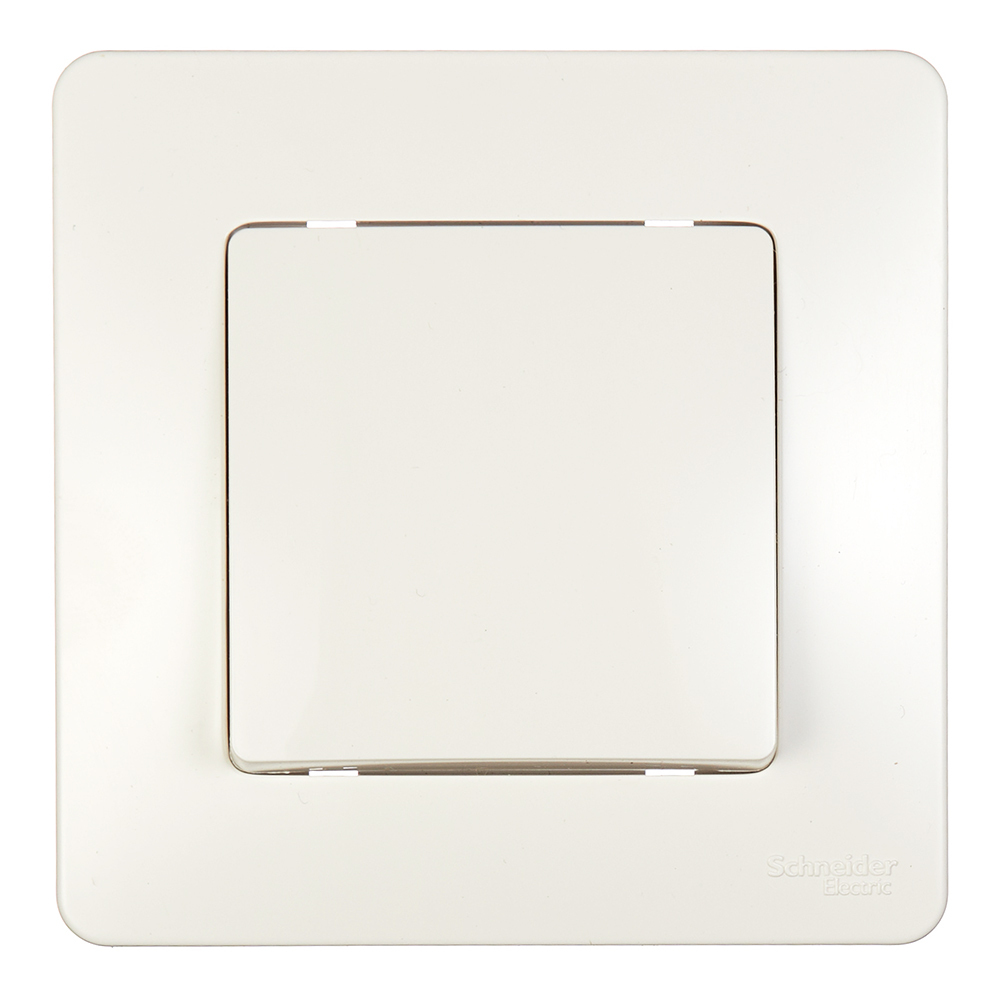 ������ ������ ������������� Systeme Electric Blanca ������������ �������� (BLNVS010602)   ����