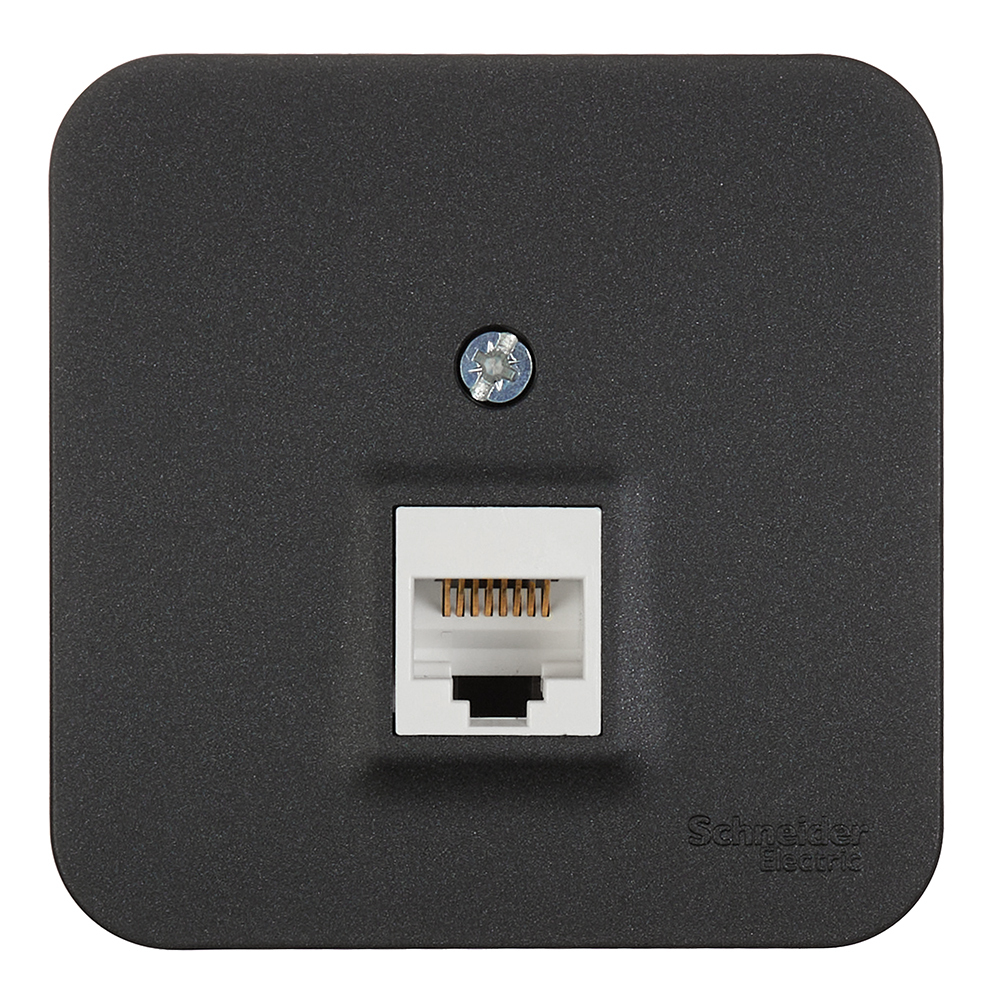 ������ ������ ������� ������������ Systeme Electric Blanca ��������� �������� RJ45 (BLNIA045006)   ����