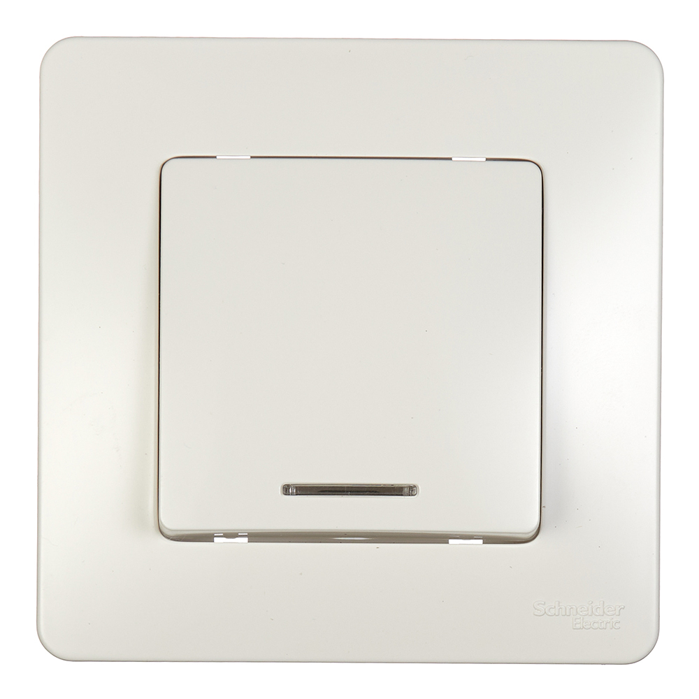 ������ ������ ����������� Systeme Electric Blanca ������������� ������������ �������� � ���������� (BLNVS010112)   ����