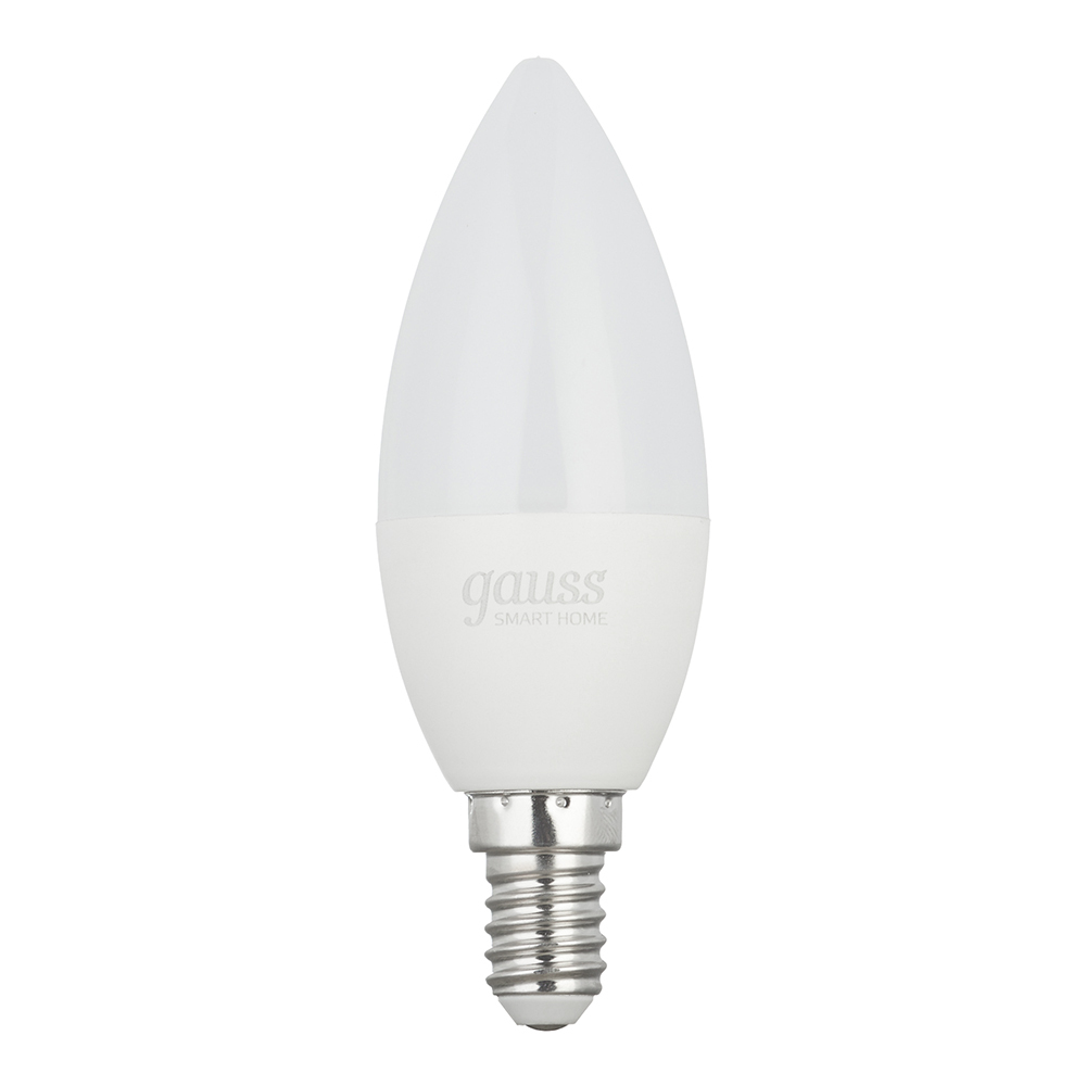 ������ ������ ����� ����� ������������ Gauss E14  2700-6500� 5 �� 220 � ����� �������   ����