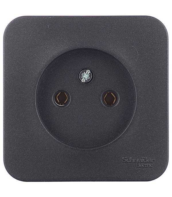 ������ ������ ������� Systeme Electric Blanca ��������� �������� (BLNRA000116)   ����