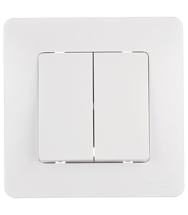 ������ ������ ����������� Systeme Electric Blanca ������������� ������������ ����� (BLNVS010501)   ����