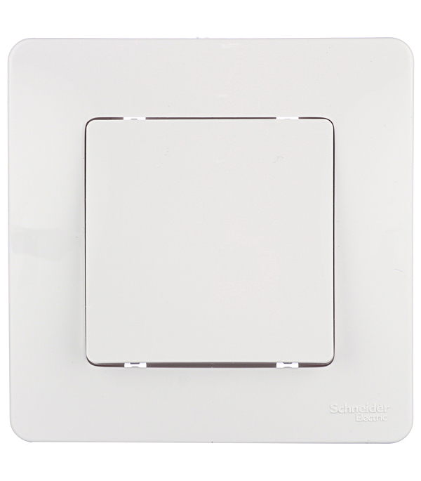 ������ ������ ����������� Systeme Electric Blanca ������������� ������������ ����� (BLNVS010101)   ����