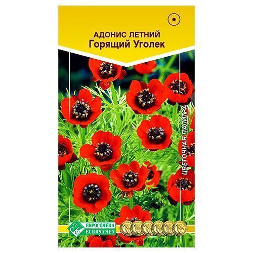 ������ ������ ������ ������� ������ ����������   ����