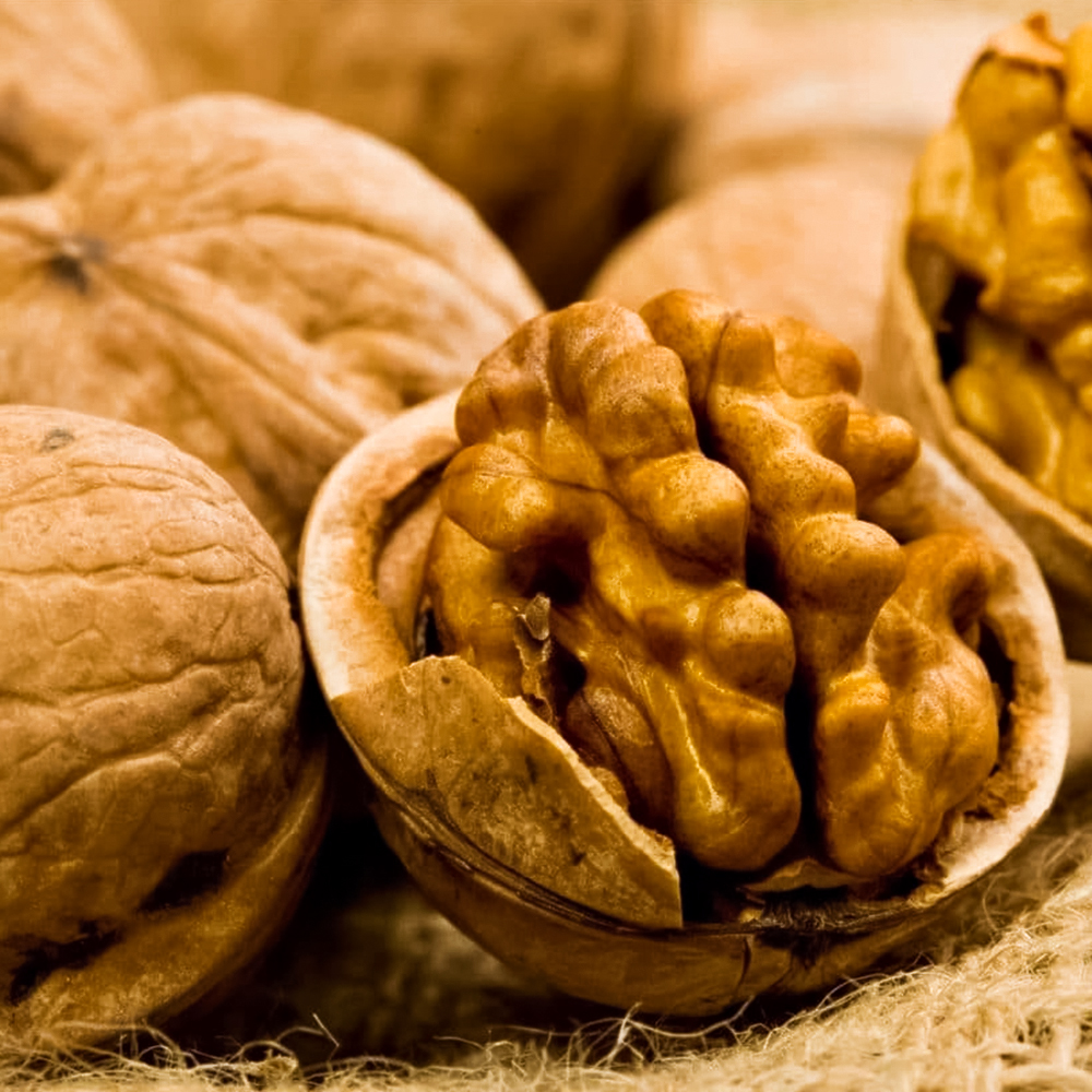 ������ ������ ���� ������� ������������� ����������� �����   ����