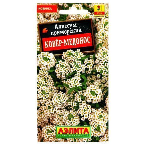 ������ ������ ������� �����-������� ������   ����