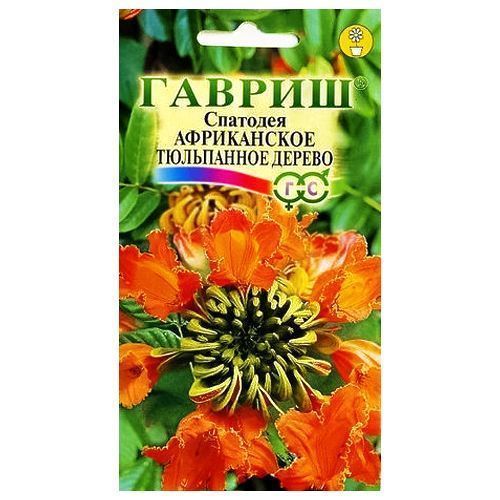 ������ ������ �������� ����������� ���������� ������ ������   ����