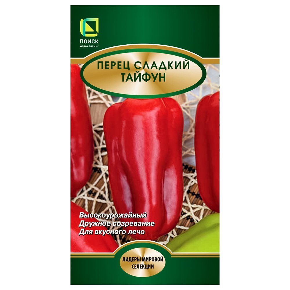 ������ ������ ����� ������� ������ �����   ����