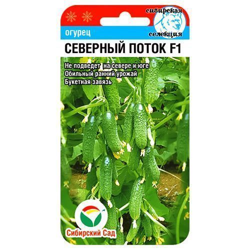 ������ ������ ������ �������� ����� F1 ��������� ���   ����