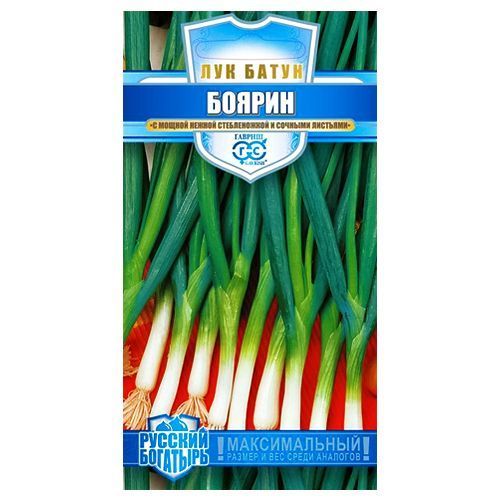 ������ ������ ��� ����� ������ ������   ����