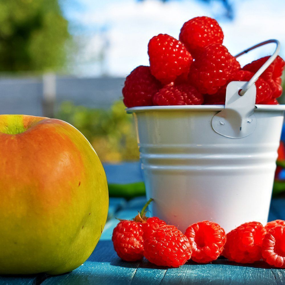 ������ ������ ������ ������������� ���� �� �����   ����