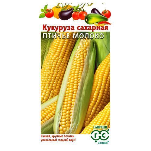 ������ ������ �������� ������ ������ F1 ������   ����