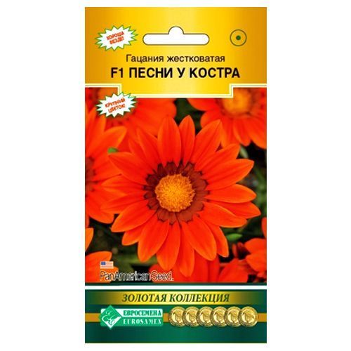 ������ ������ ������� F1 ����� � ������ ����������   ����