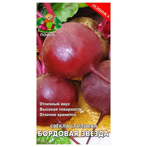 ������ ������ ������ �������� ������ �����   ����