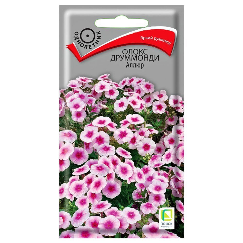 ������ ������ ����� ��������� ����� �����   ����