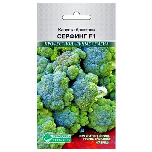 ������ ������ ������� �������� ������� F1 ����������   ����