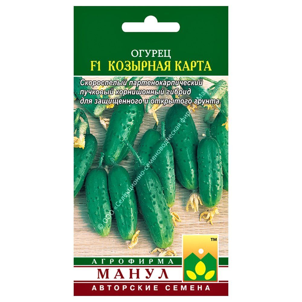 ������ ������ ������ �������� ����� F1 �����   ����