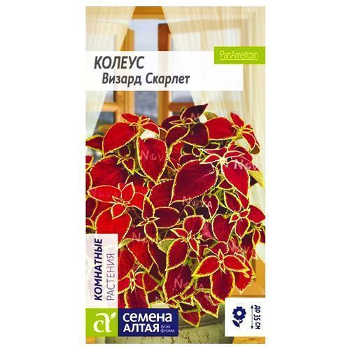 ������ ������ ������ ������ ������� ������ �����   ����