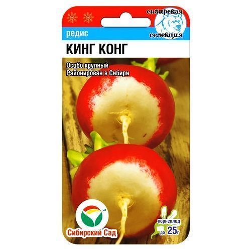 ������ ������ ����� ���� ���� ��������� ���   ����