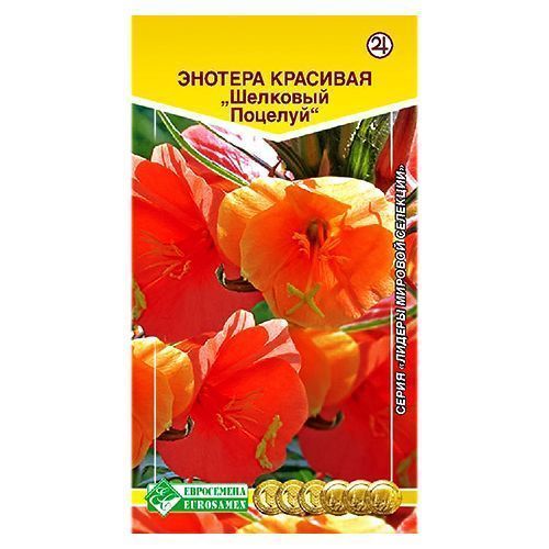 ������ ������ ������� �������� ������� ����������   ����